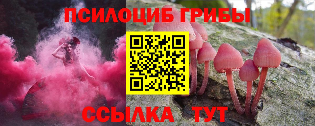 Галлюциногенные грибы прущие грибы Губаха