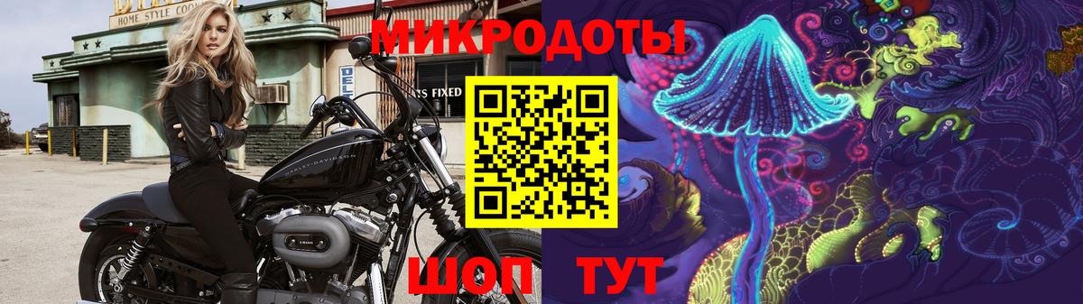 наркотики  Псилоцибиновые грибы ЛСД  Вход с VPN  Псилоцибиновые грибы Cubensis  Губаха 